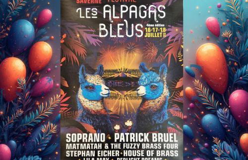 Escapade alsacienne à 30 min de Strasbourg - Foto 28