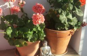 Vale de Garcia AL 5357 - Foto 32