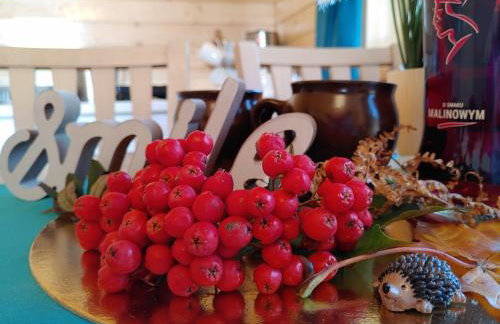 Apartamenty przy Jeziorze Żywieckim z widokiem na Skrzyczne - Foto 49