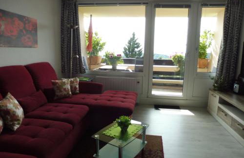 Komfortable Wohnungen und Studio in Sankt Englmar - Foto 71