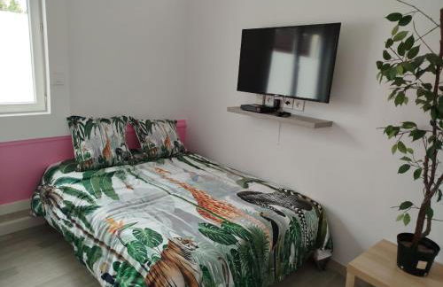 maison pink flamingo aeroport tillé 2 a 4 personnes - Foto 23