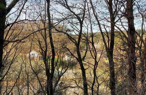 Kleine Jagdhütte - Photo 13