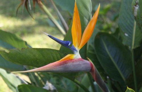 Cabana Gracillis em Alfredo Wagner - Serra Catarinense - Photo 22