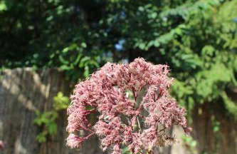 Domy na Kaszubach w Kamieniu - Foto 31