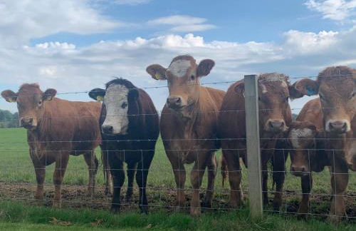 Meikle Aucheoch Holiday Cottage, plus Hot Tub, Near Maud, in the heart of Aberdeenshire - Foto 32