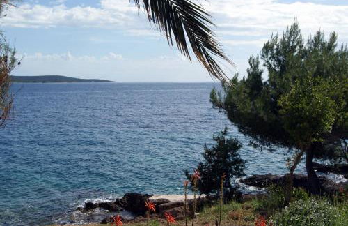 Apartmani Braco Caratan - Foto 17