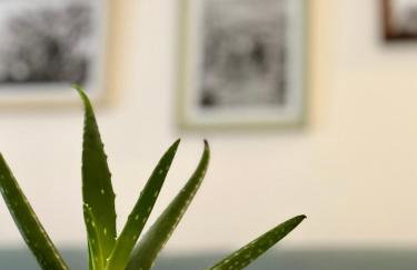 Casa Curiosa - Foto 8