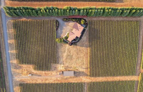 Trellis at Baptista Maresh Vineyard - Foto 41