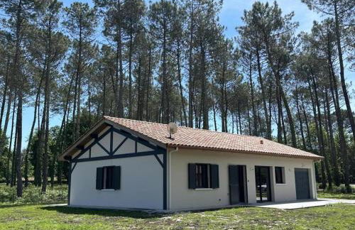 les resiniers - Foto 1