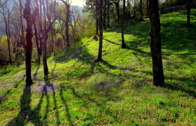 Villa With Pool in Labin - Foto 31