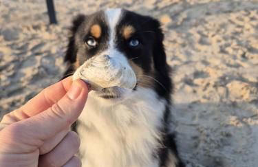 FeWo Renken - Foto 26