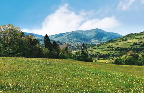 Góralskie domy w Łostówce - Foto 79