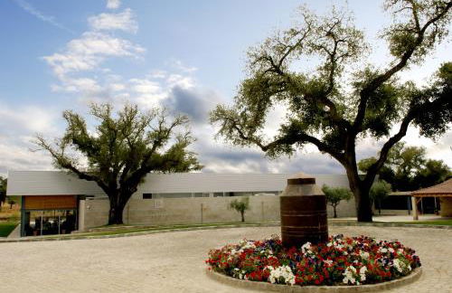 Casas do Regato - Foto 49