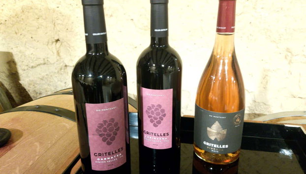 Excursión a una bodega del Priorat - Foto 2, Vinos de la comarca del Priorat
