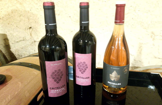 Excursión a una bodega del Priorat - Foto 2