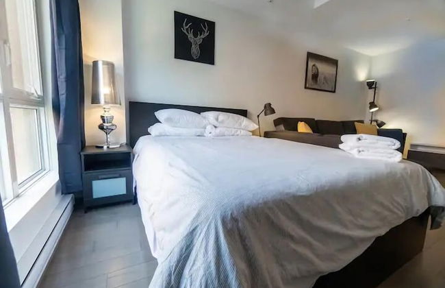 Rozenhaus Montréal - Foto 40