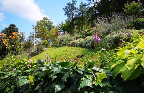 Holiday House Kod Ajke - Foto 40