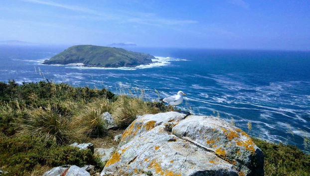 Vista dall'isola di Ons