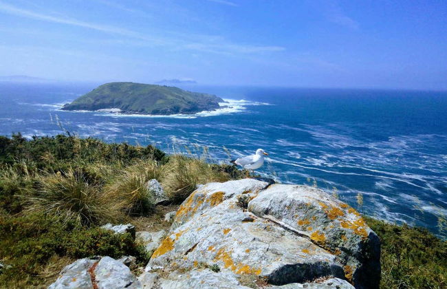 Ons Island Boat Transfer - Photo 3