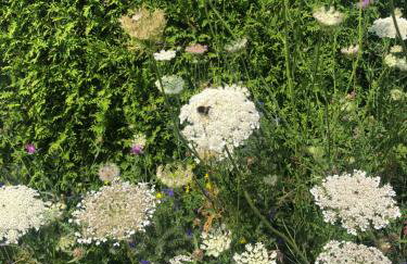 110qm Countryside Loft - Foto 47