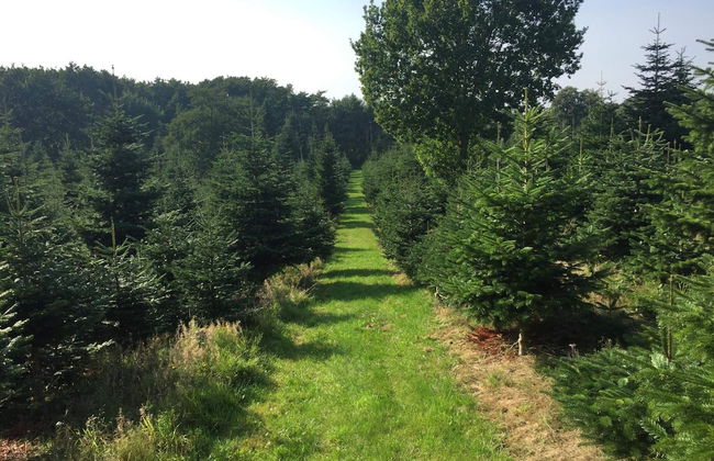 4 Person Holiday Home in Odder - Foto 13