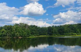 Nasz Dębowiec - dom dla 15 osób, sauna, widok na staw, wielka działka - Photo 64