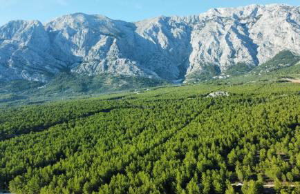 Fiori Boutique Apartment - Foto 44