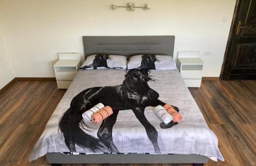 Milka house - Foto 22