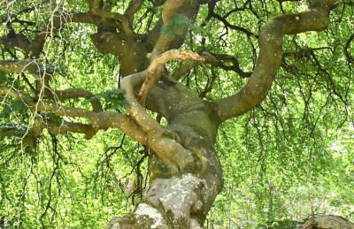 BedinReims "burgundy bottle" 110m2 Exceptional, 4 chambres doubles, 2 bain, free park & wifi, tout équipé - Foto 65