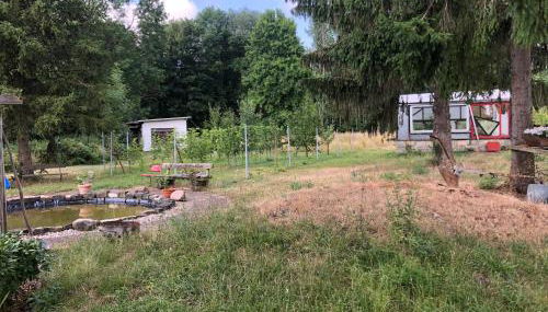 Harzbett - Foto 3, Garden, Garden view