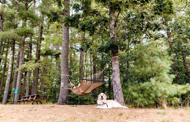 Huttopia Southern Maine - Photo 59