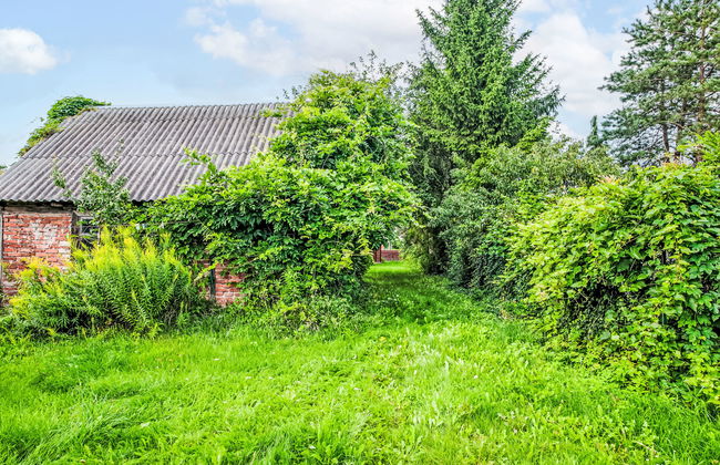 U Prababci Olgi - Foto 30