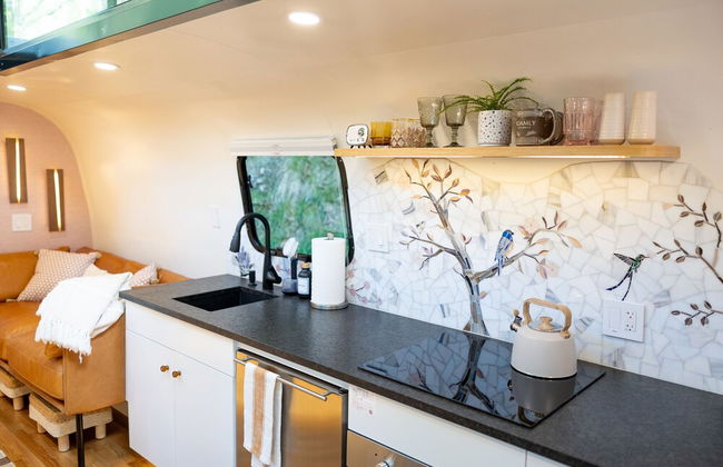 Creekside Fern in Pisgah Forest - Foto 13