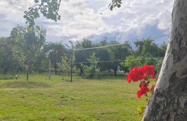 Domek SADKOWO - wśród jabłoni , balia ogrodowa dodatkowo płatna - Photo 23