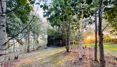 Drewniany dom w brzozowisku - Foto 5