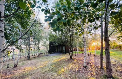 Drewniany dom w brzozowisku - Foto 5