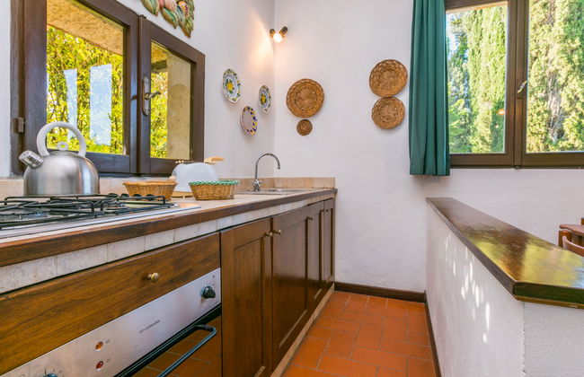 Bardeggiano - Caterina 8 (COL243) - Foto 12