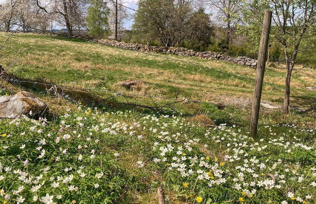 6 Person Holiday Home in Ulricehamn-by Traum - Foto 6