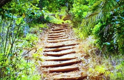 Charming house in Teror with garden - Foto 15