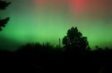 Seeblick Kummerow - Foto 24