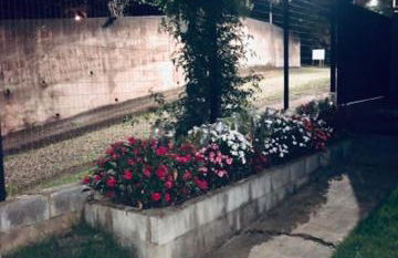 Estúdio Glaura - Foto 14