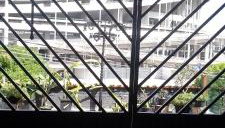 Terraço dos Léo's - Foto 1