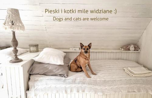 COZY COTTAGE IN THE WOODS - Przytulny domek w lesie - Photo 17