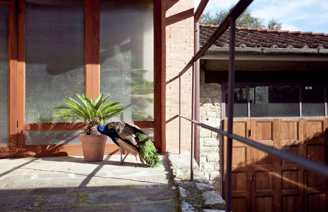 Tuscan Stay in Wine Country - Foto 16