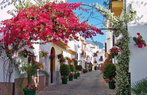 Luxury Beachfront Apartment with Pool in Costalita - Photo 29