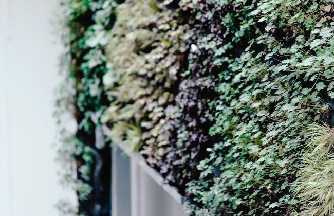 Luxury Apartments Zelny Trh - Foto 25