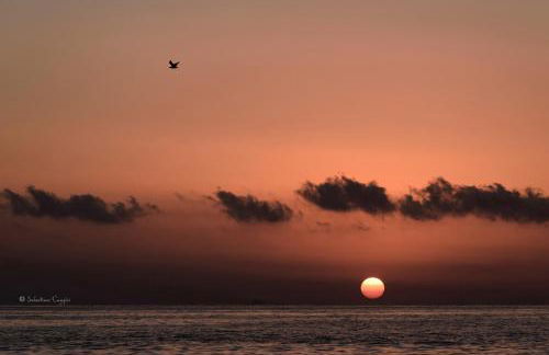 Yellow-house 100 meters from the sandy beach - Foto 57