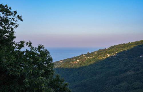 Kissos Experience - Foto 27