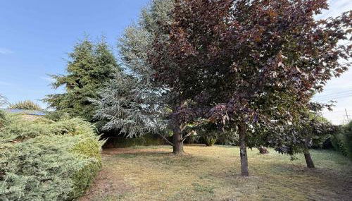 Le Cocon d'Ellie M - Photo 5, Garden