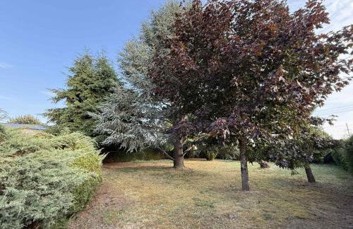 Le Cocon d'Ellie M - Photo 5